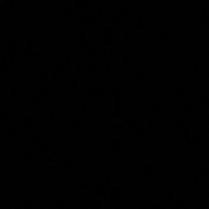 Meet your Posher, Raquel